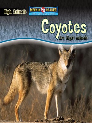 cover image of Coyotes Are Night Animals